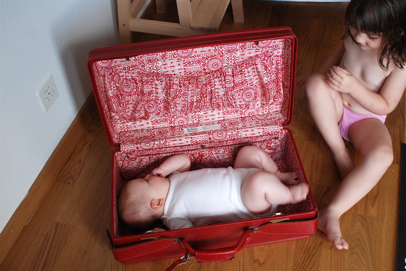 6a00d8341ebc6653ef0134872c176e970c-800wi